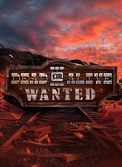 Dead or Alive 3: Wanted